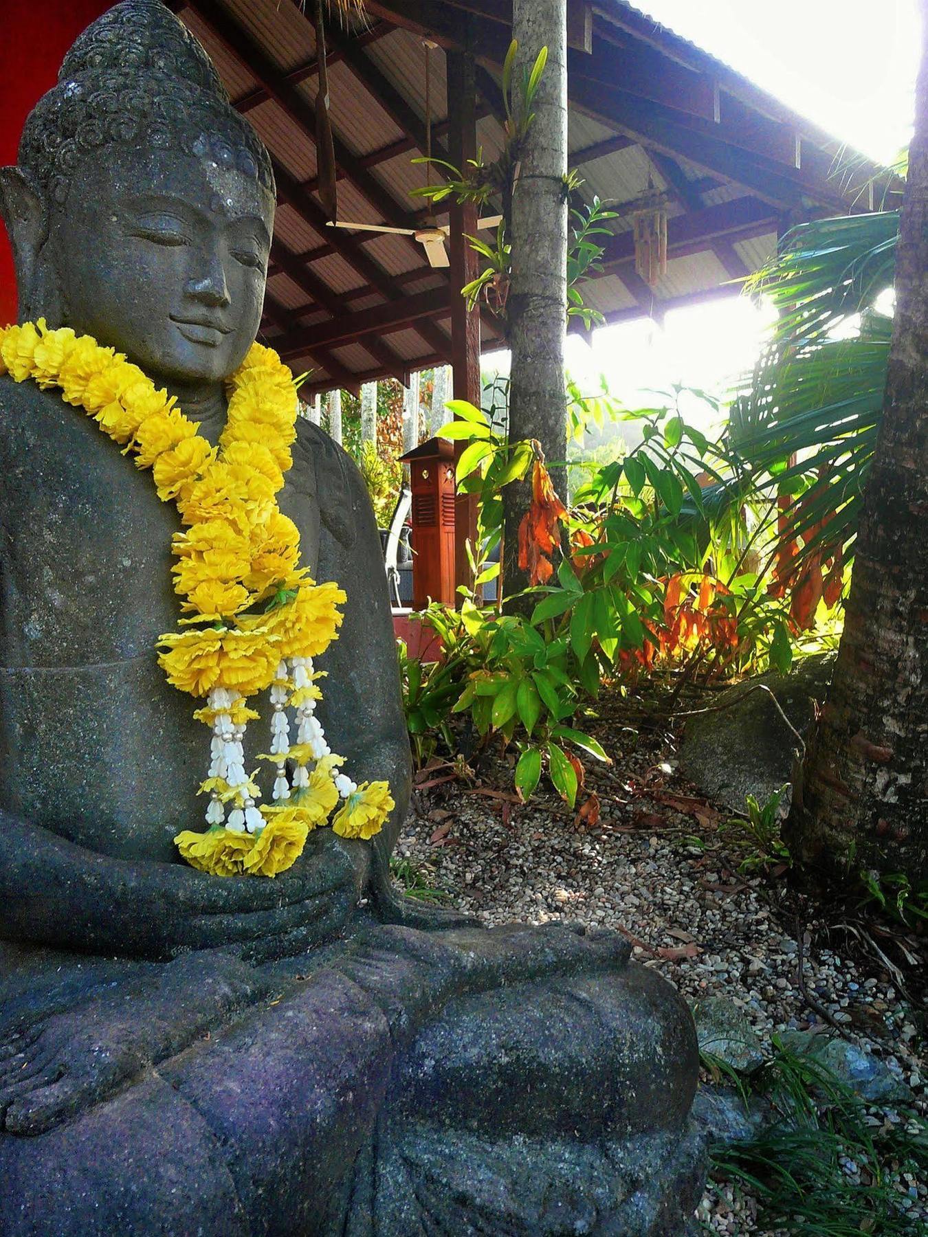 Mai Tai Resort Cassowary Bagian luar foto